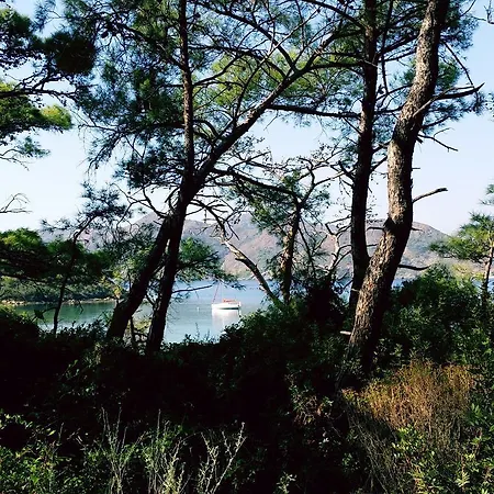 Datca Aktur Holiday Homes
