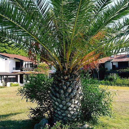 Vila Datca Aktur Holiday Homes