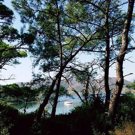 Datca Aktur Holiday Homes Vila Emecik